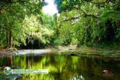 Natural attractions rivers and falls
